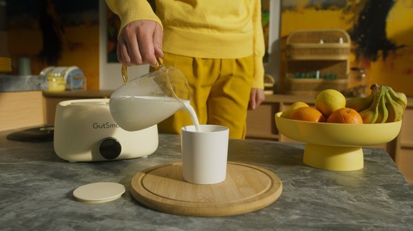 Various milk options for making yogurt with GutSmart