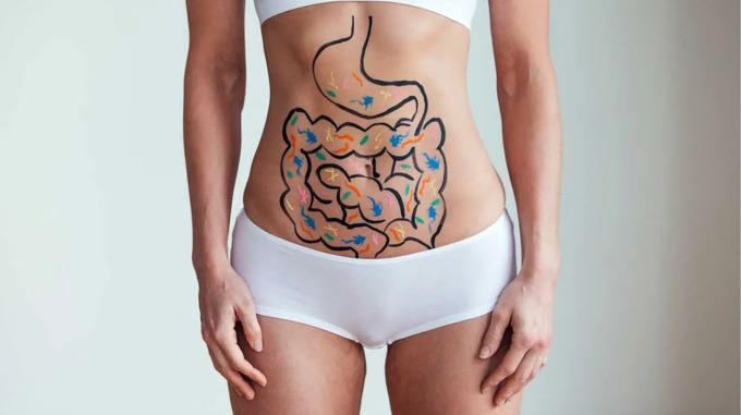 GutSmart Introduction